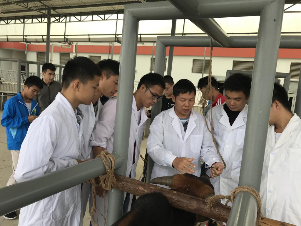 學(xué)畜牧技術(shù)，走致富之路——畜牧漁業(yè)飼料銷售的關(guān)鍵策略