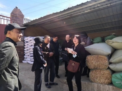 全國畜牧總站深入尋甸開展調研，共繪現代畜牧業(yè)與飼料銷售新藍圖